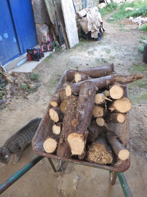 Barrow full of logs